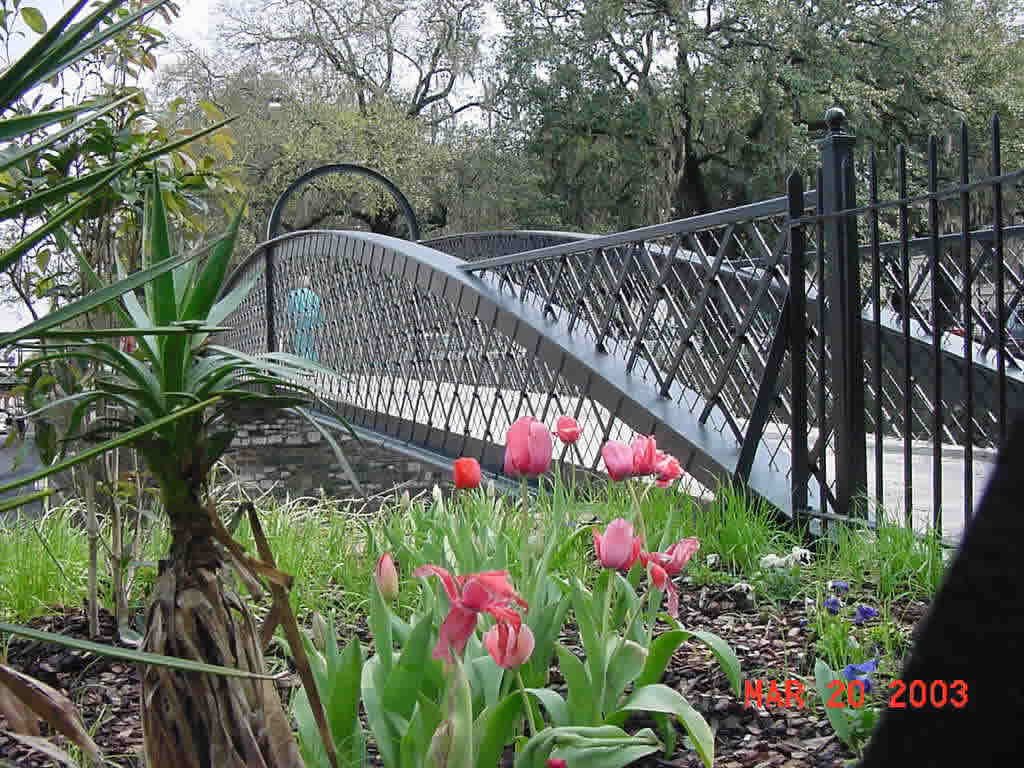 Bridge