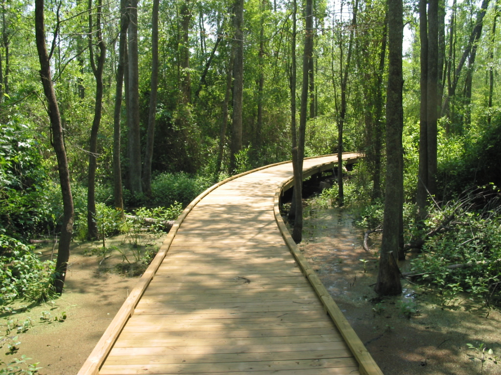 Boardwalk